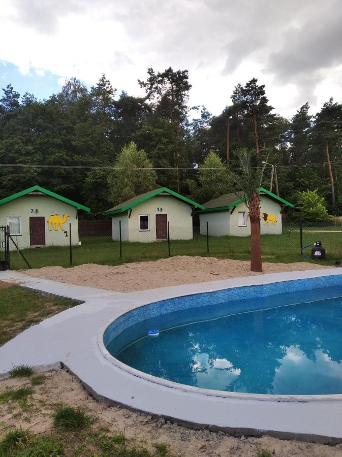 Domki Pod Lasem Płońsk Kültér fotó