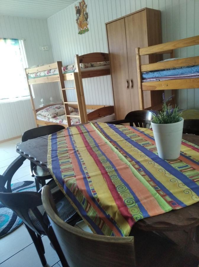 Domki Pod Lasem Płońsk Kültér fotó